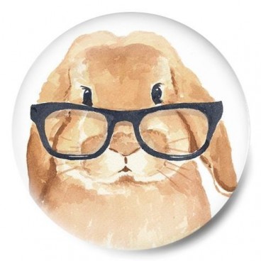 hipster rabbit
