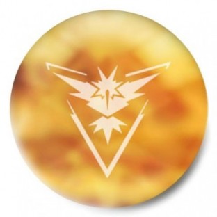 pokemon equipo amarillo