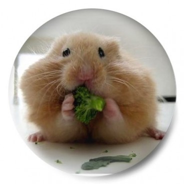 Hamster vegetariano