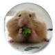 Hamster vegetariano