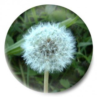 Abuelito para soplar