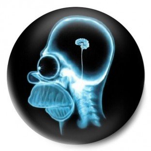 Cerebro Homer Simpson