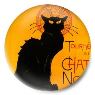 Chat Noir