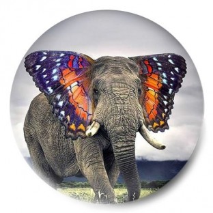 el venado herido frida